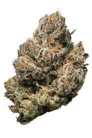 Photograph of product: Flower | LA Kush Cake | Belushi - 7g