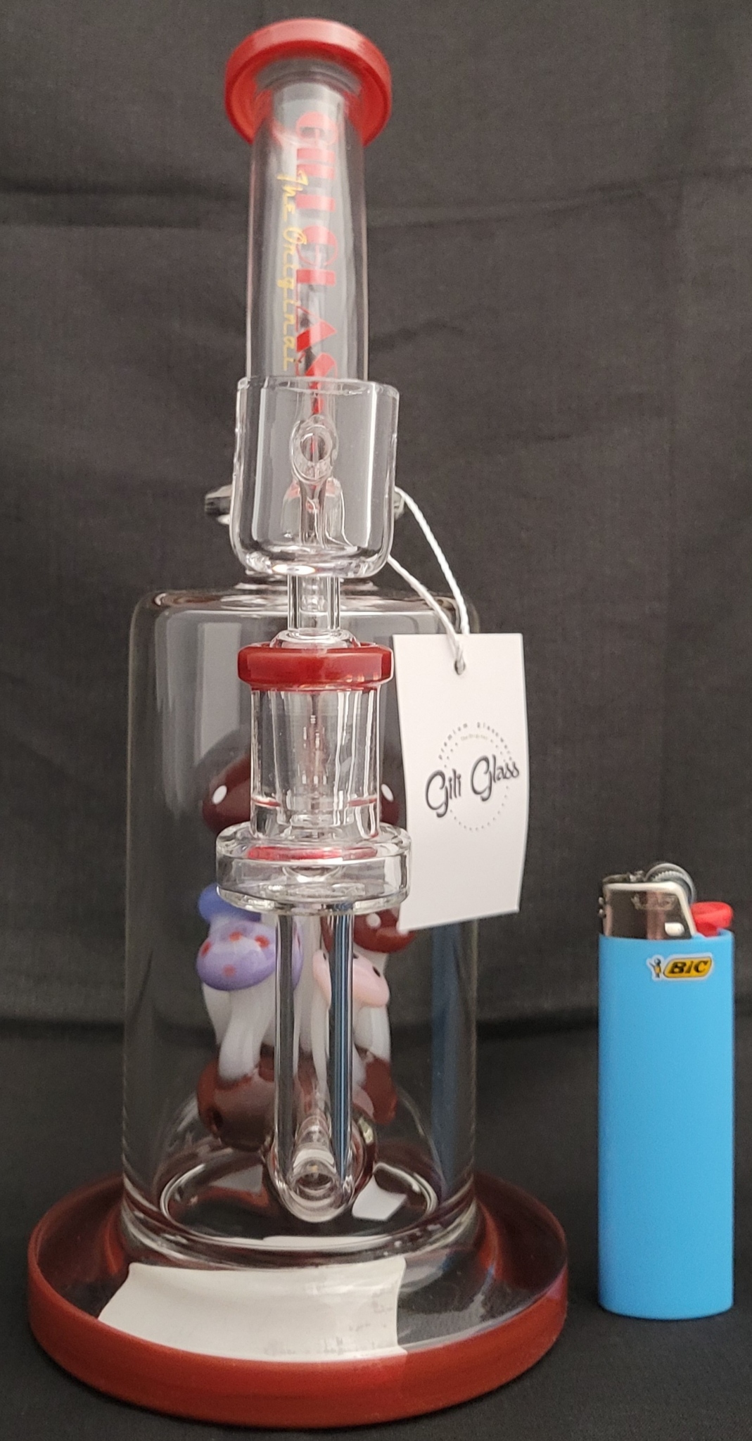 Photograph of product: Bong GIL 727 (1808)