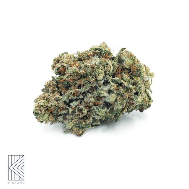 Photograph of product: Caribbean Cookies Premium Indoor (1/8oz) - Caribbean Cookies Premium Indoor 1/8oz