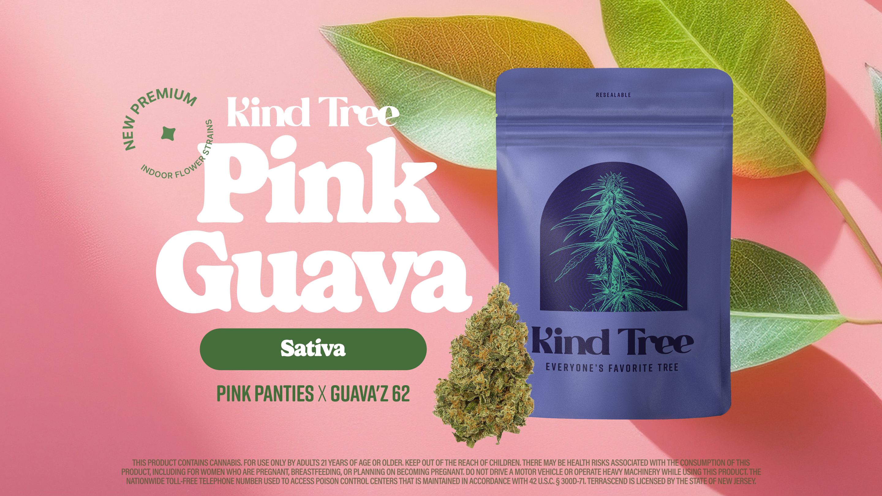 Photograph of product: Kind Tree Mixed Buds | Pink Guava | 14g (Oui'd)