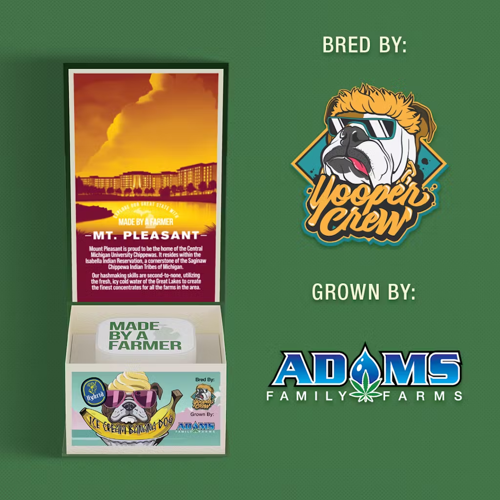 Photograph of product: Ice Cream Banana Dog Live Rosin