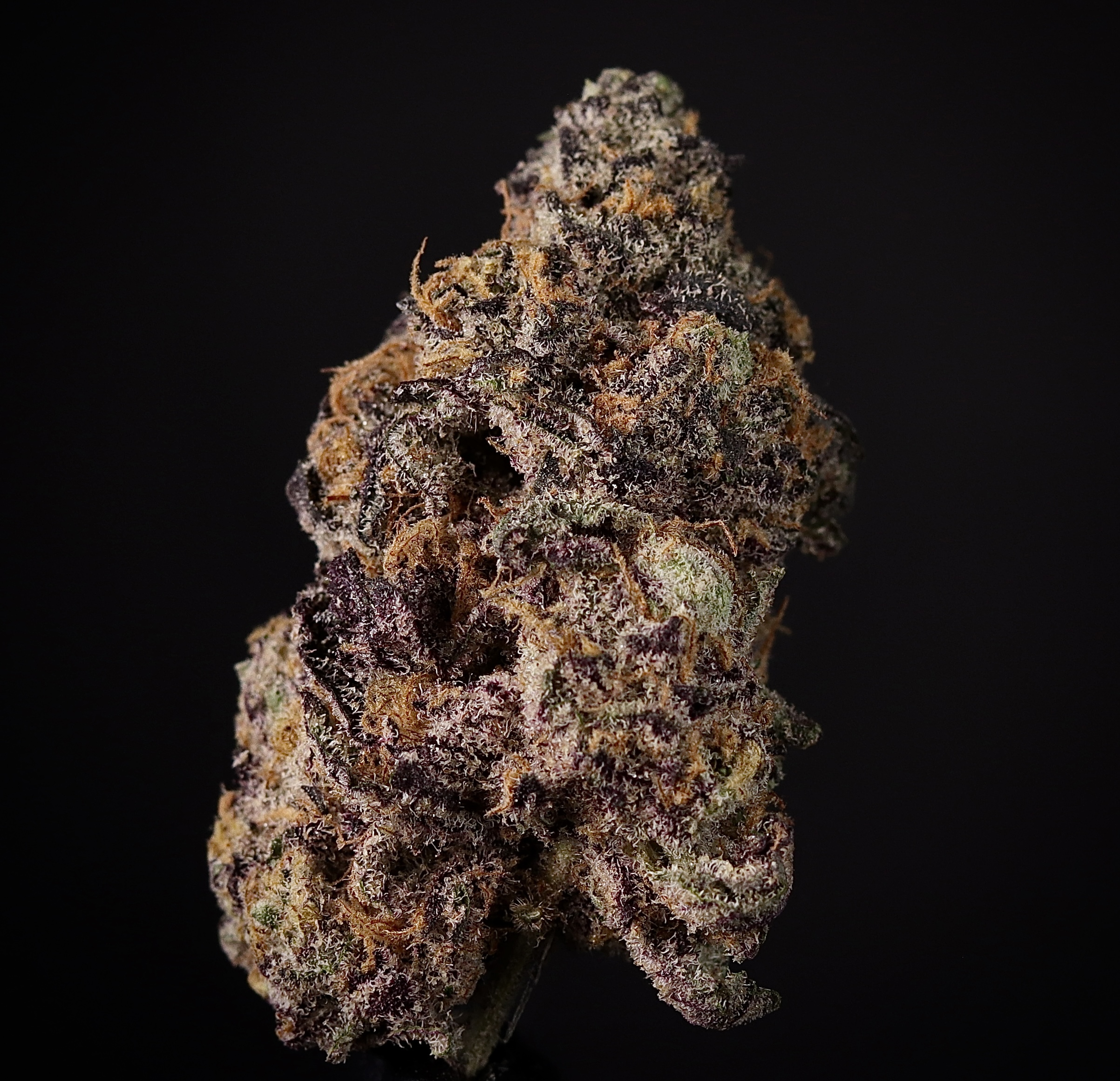 Photograph of Product: Zoap - Landrace Cannabis Co. - 7g