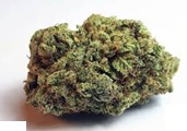 Photograph of product: Trichome | Og Glue (I-D) - 3.5g