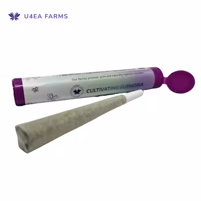 Photograph of product: Cherry Whip (H) - Pre-Roll (1g)