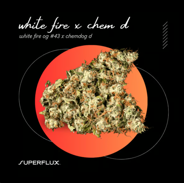 Photograph of product: White Fire x Chem D | Flower - 3.5g