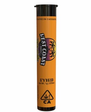 Photograph of product: Newport Nirvana Preroll 1g - PR