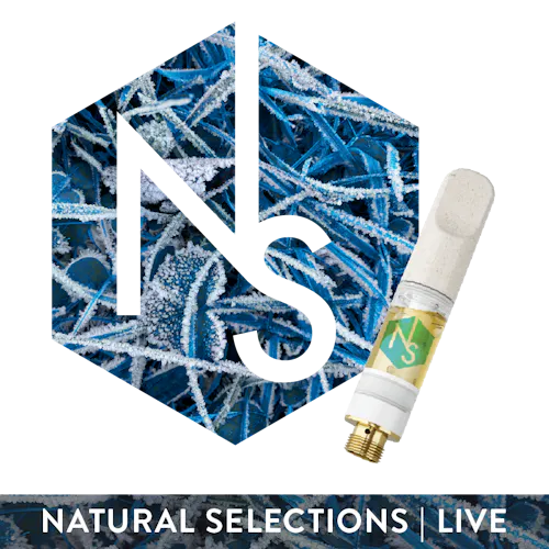 Photograph of product: Natural Selections - Dulce de Uva - 1g Live Resin Liquid Diamond Cart