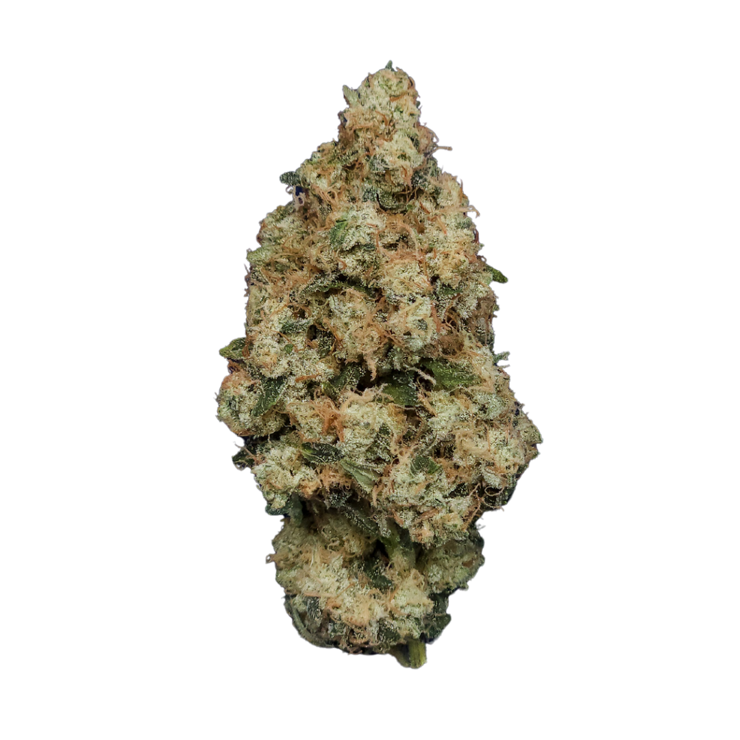 Photograph of product: Ghost Dawg | Flower - 28g