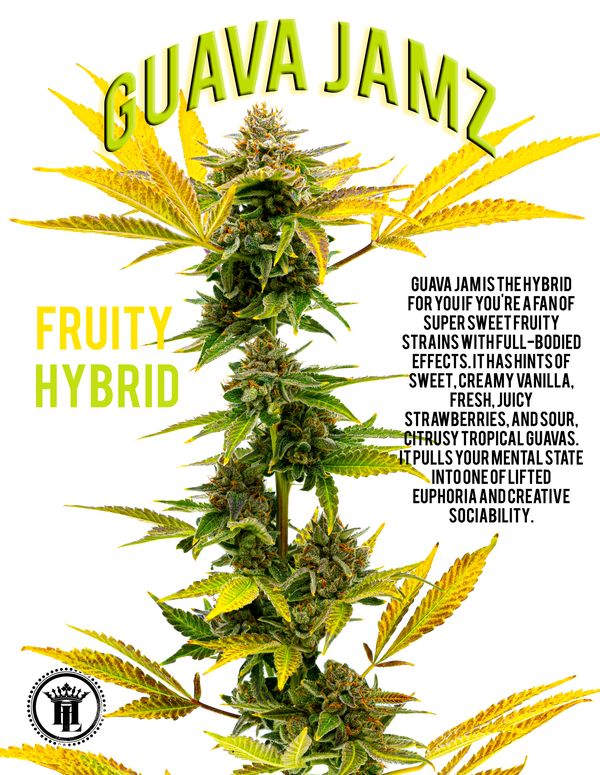 Photograph of product: HIGH LIFE FARMS GUAVA JAMZ BULK - 28g