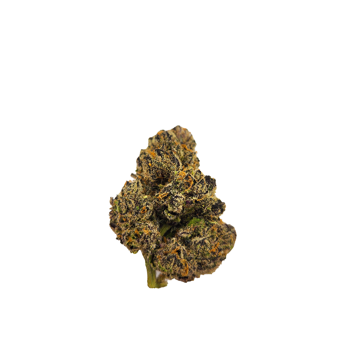 Photograph of product: Tropidelic I Live Resin Infused Smalls I High Kings - 28g