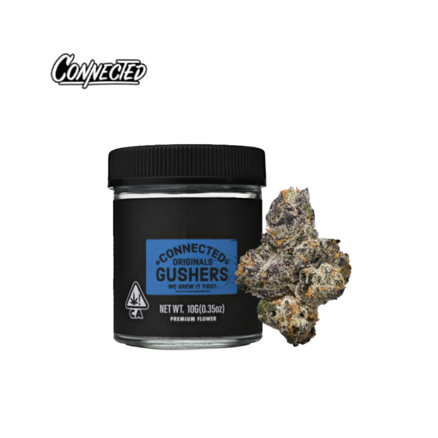 Photograph of product: GUSHERS 10G INDOOR