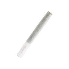 Photograph of product: Paradise Smokes - White Peaches Rosin Infused Preroll (H) 2g