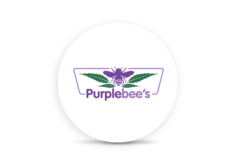 Logo for img-fluid: Purplebee's