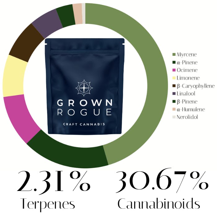 Photograph of product: Purple Panties by Grown Rogue | Flower | 7.0g