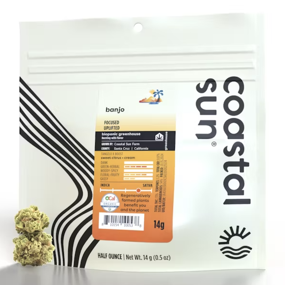 Photograph of product: Coastal Sun Greenhouse 14g Half Ounce - Banjo (S)