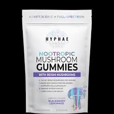 Photograph of product: Hyphae Wellness - Blackberry Lemonade Reishi Gummies 10ct