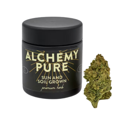 Photograph of product: Gelato 41 - 3.5g