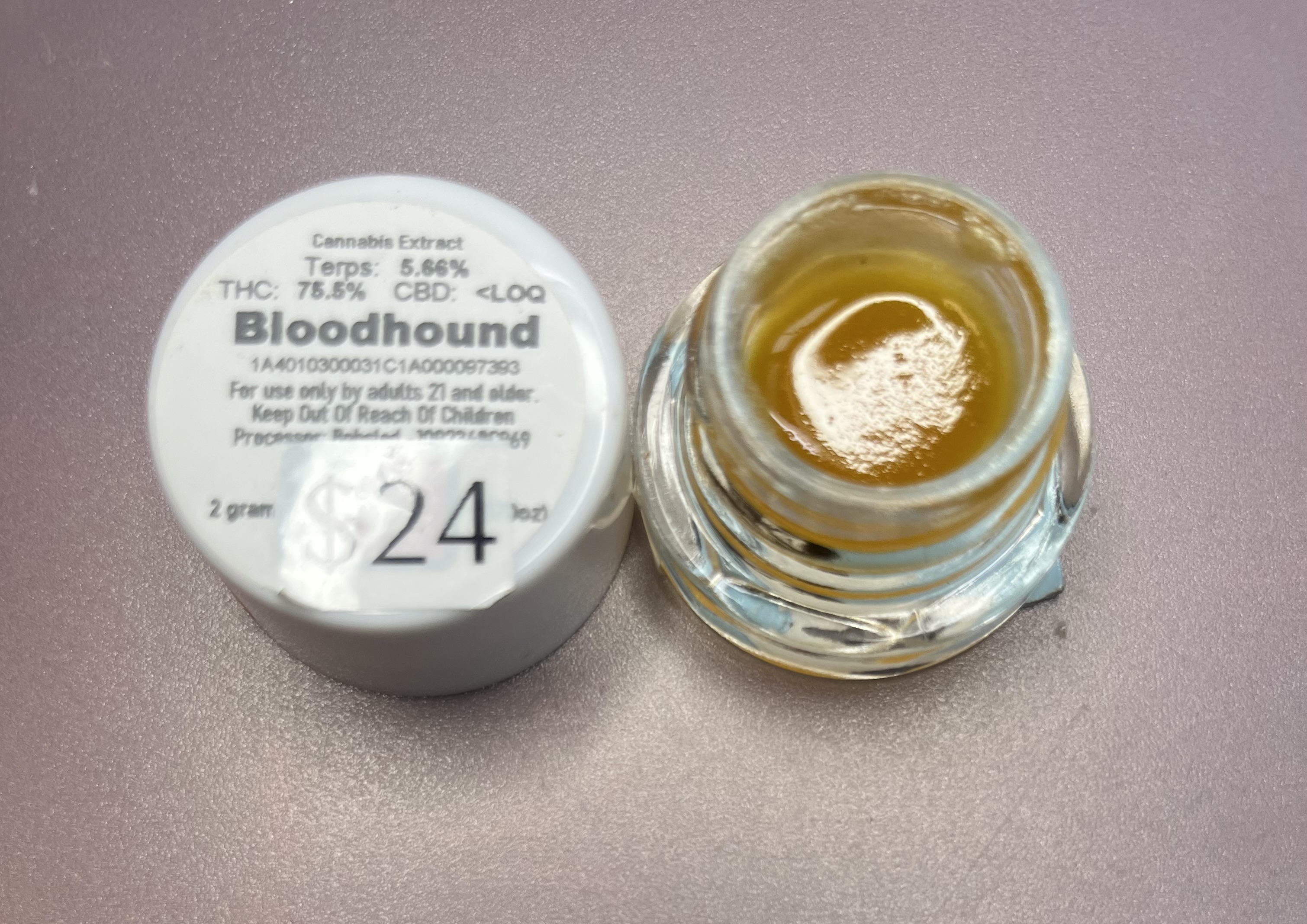 Photograph of product: Bloodhound Cured Resin - Bobsled