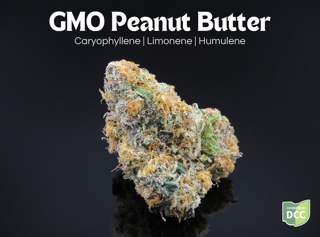 Photograph of product: GMO Peanut Butter | 2.83g - 