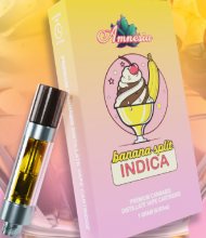 Photograph of product: Banana Split | Cartridge 1g