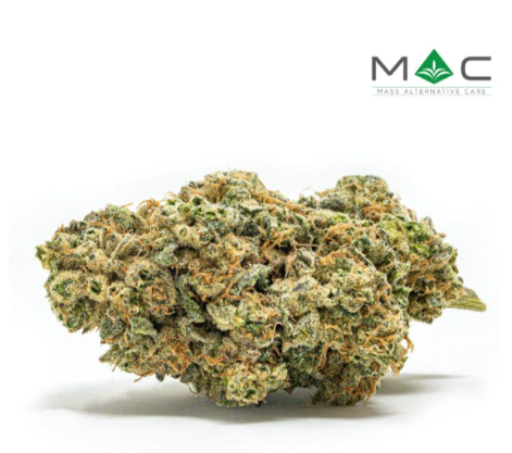 Photograph of product: Zombie I 3.5G (TAX INCLUDED)