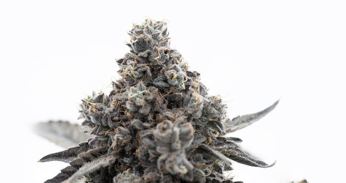 Photograph of product: Krypto Chronic - 28g