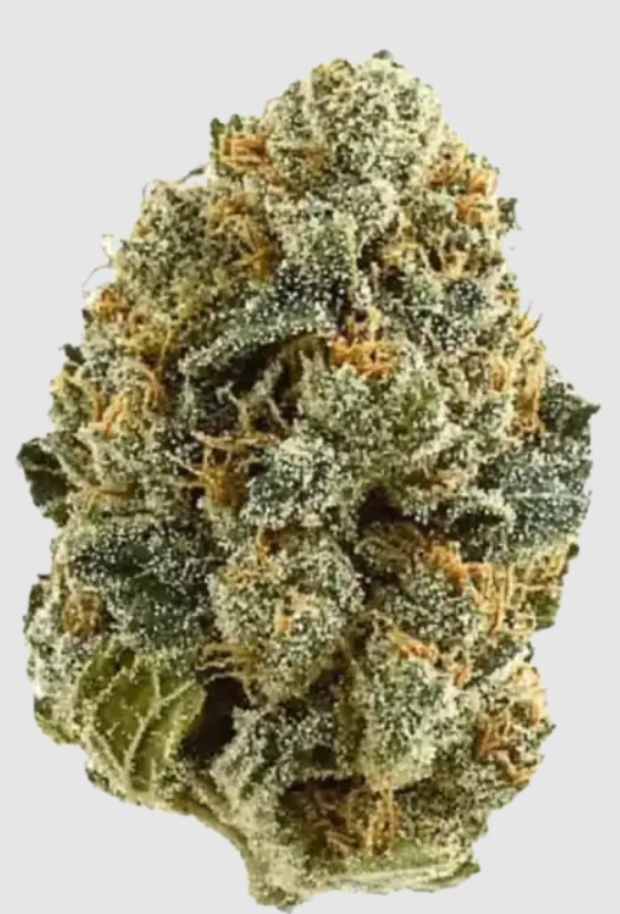 Photograph of product: Frosted Truffle Pie buds by DR JC Exotics - 28g