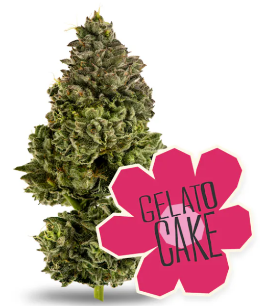 Photograph of product: District Oui'd | Gelato Cake - 3.5g