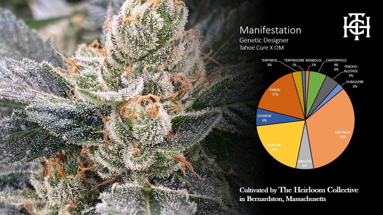 Photograph of product: Manifestation: Flower - 3.5g