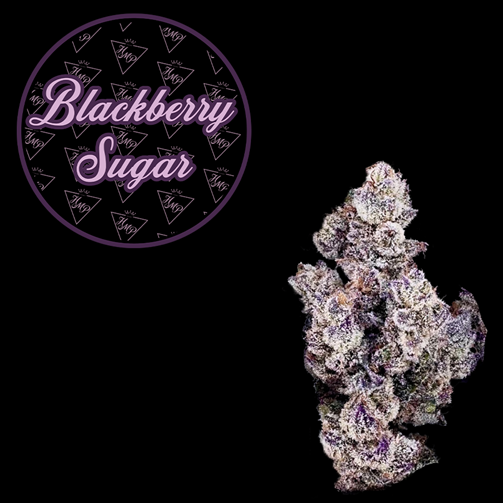 Photograph of product: Flower - Blackberry Sugar - 3.5g