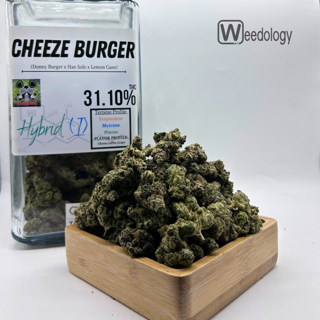 Photograph of product: Cheeze Burger (I-H) - 28g