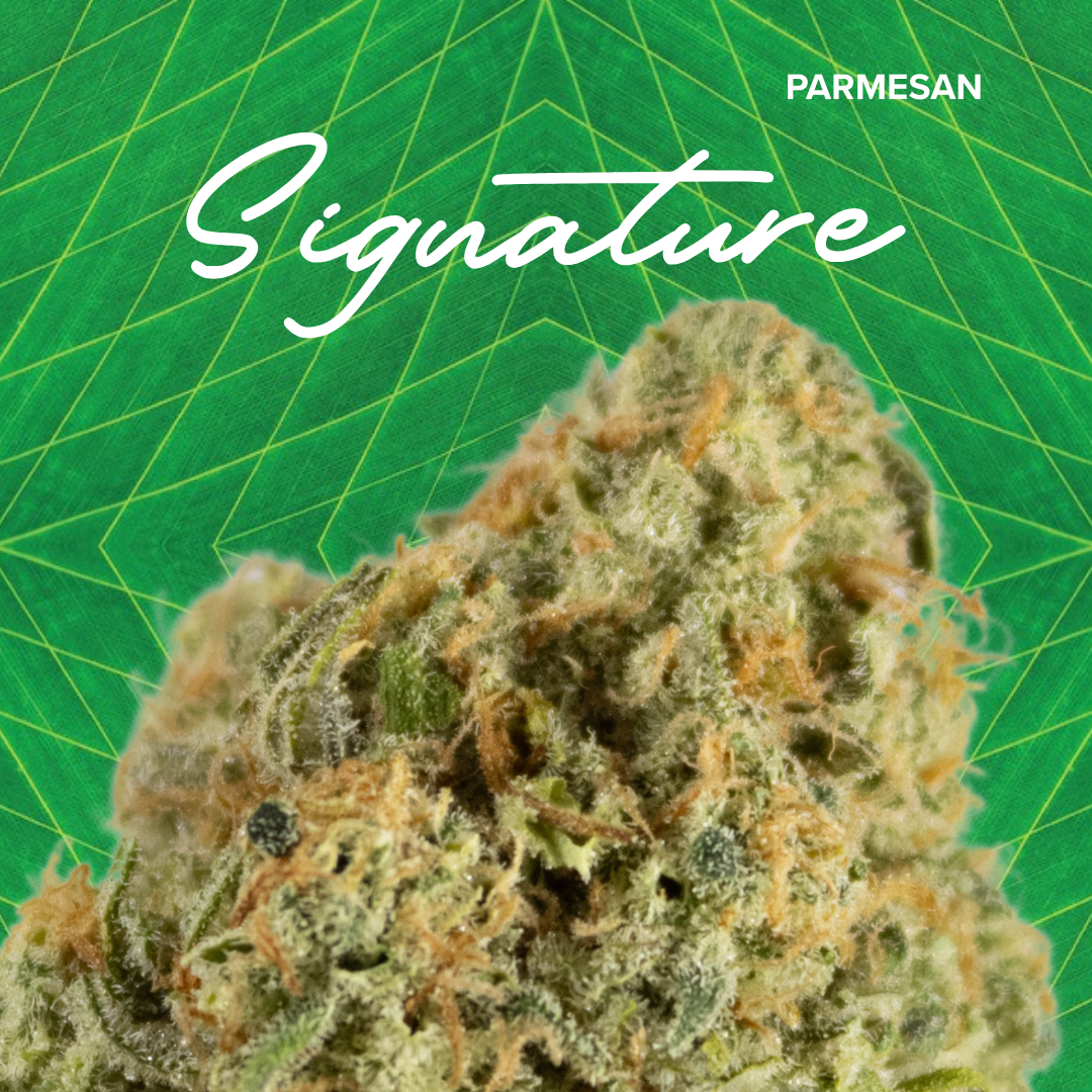 Photograph of product: Signature | Parmesan | 3.5g