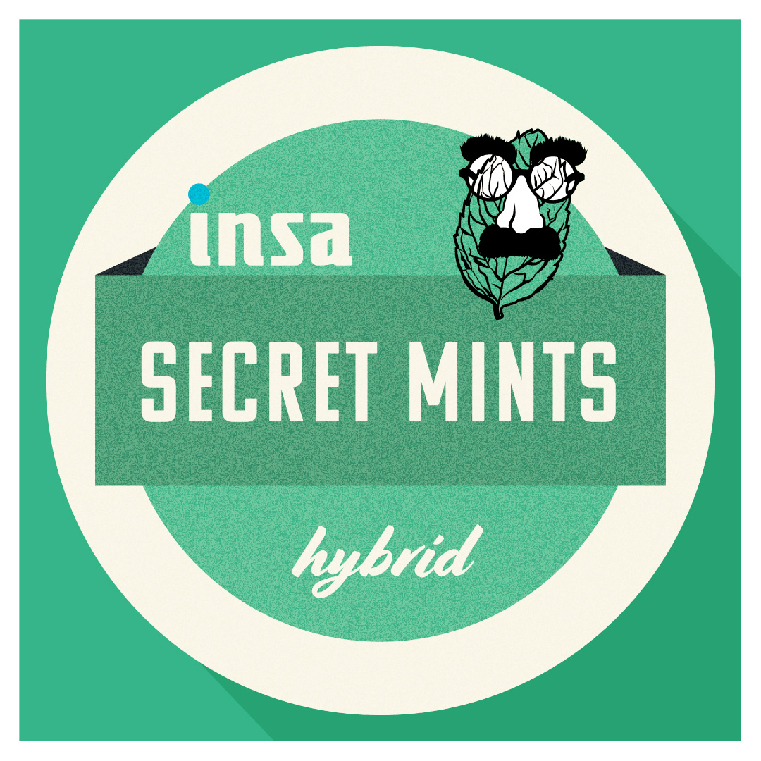 Photograph of product: Secret Mints | 3.5g