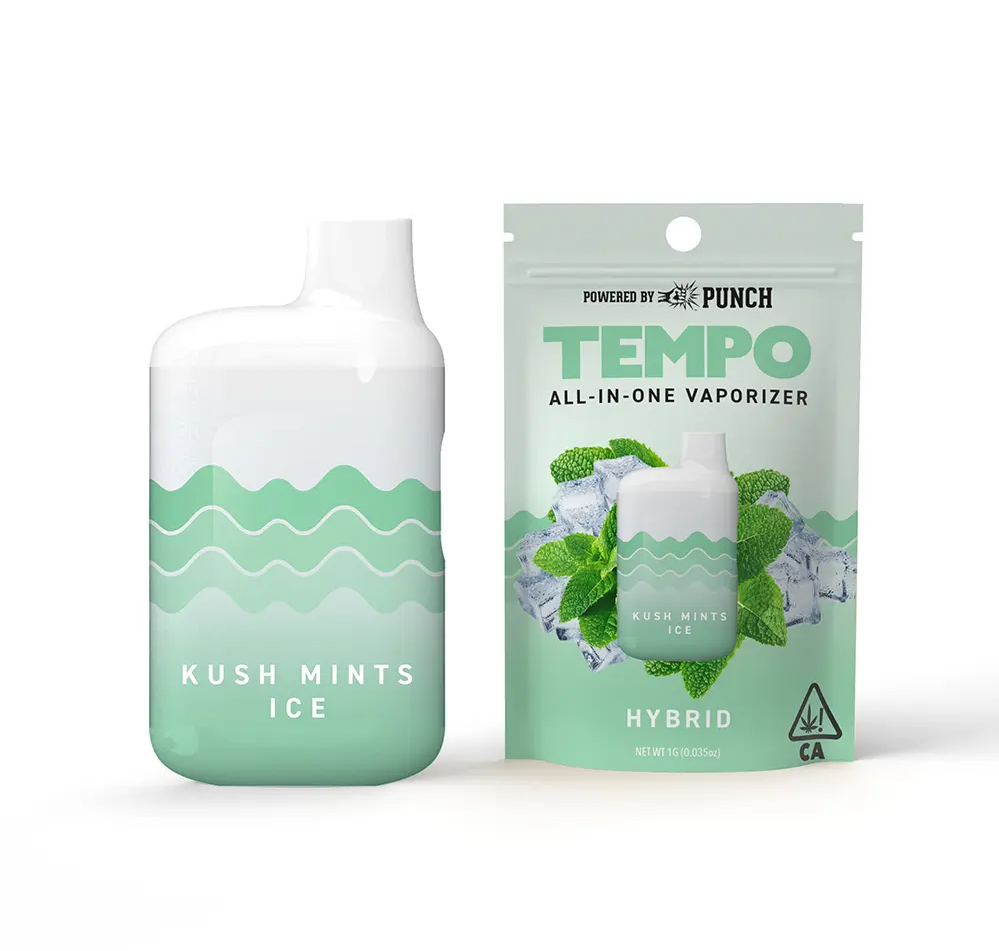 Photograph of product: Tempo by Punch | All In One - Kush Mints Ice