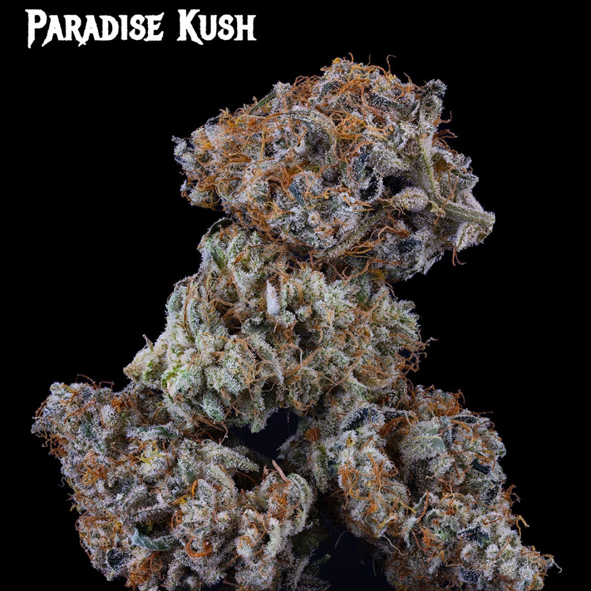 Photograph of product: Mad River Terps - Paradise Kush 1/8 - 28g