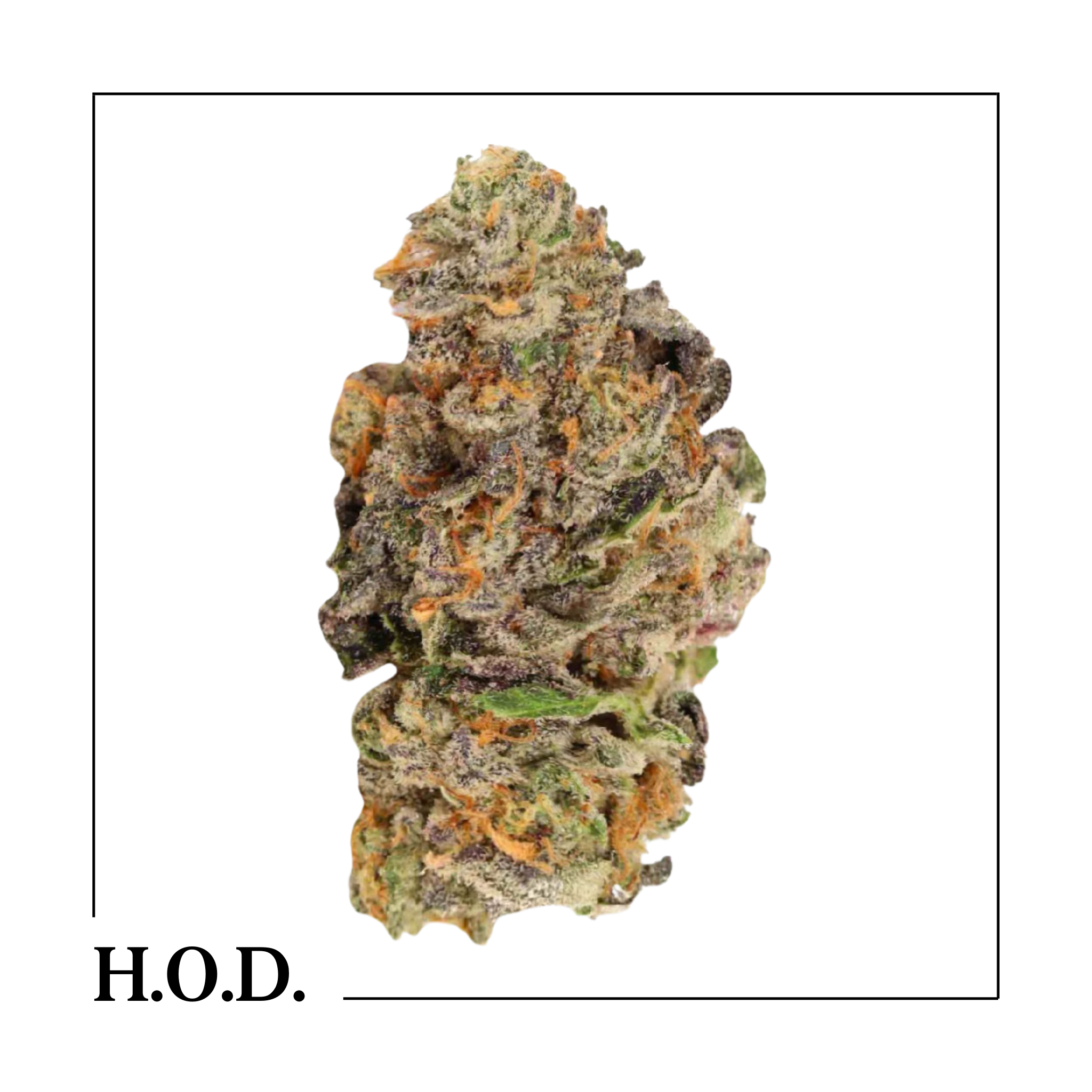 Photograph of product: Blue Pave 28g