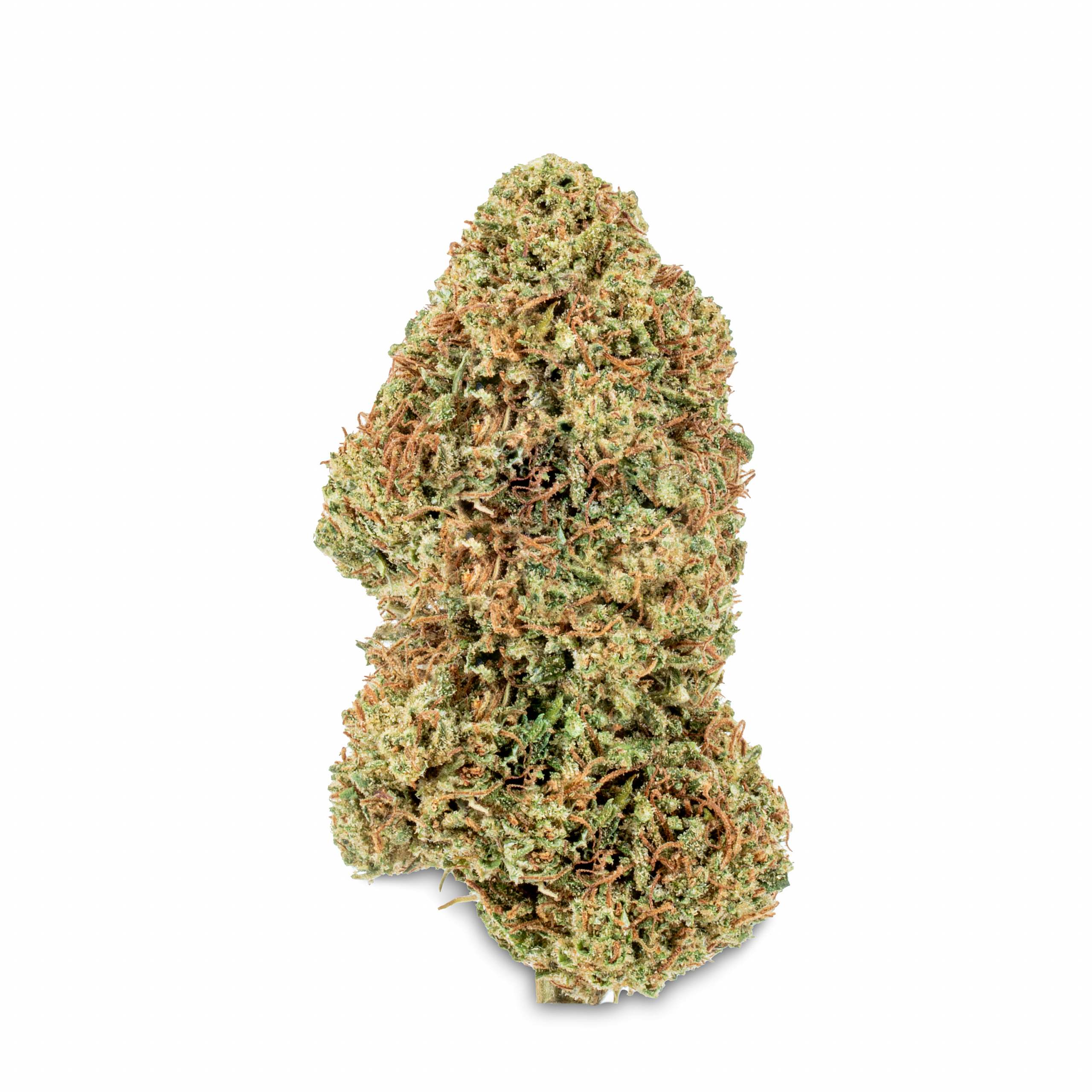 Photograph of Product: Magic City - Dirty Taxi - Bulk Buds - 1g