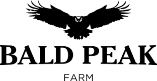Photograph of product: Bald Peak | PURPLE LIME POP - 14g