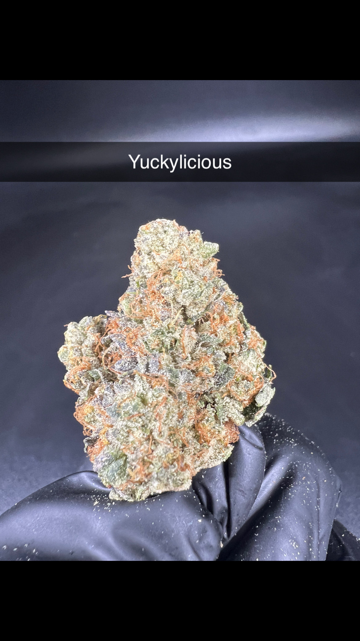 Photograph of product: Yuckylicious - Flower - Hybrid - 28g