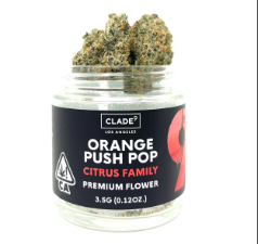 Photograph of product: Clade9 - Orange Push Pop 3.5g Flower