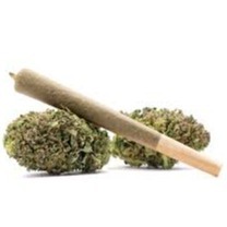 Photograph of product: Rocket Sticks > Pre Roll 1g > Oui'd > Bruce Banner