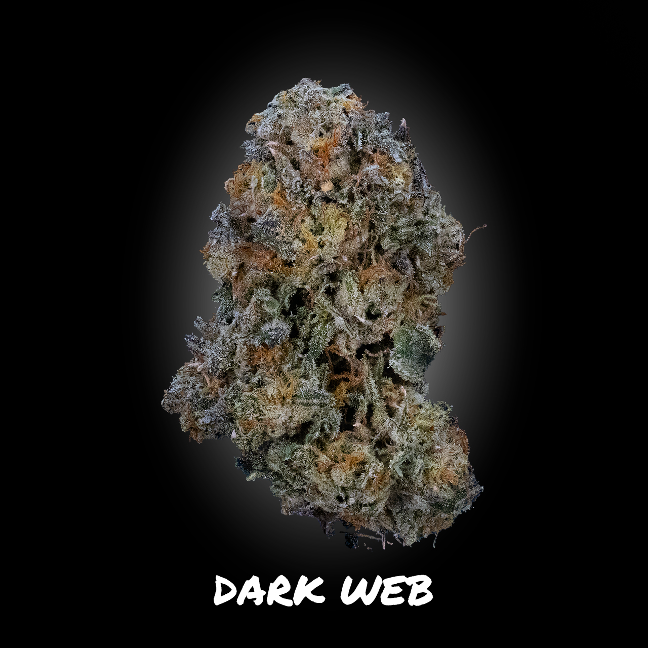 Photograph of product: Dark Web - Demboyz Prepackaged Flower - 3.5g