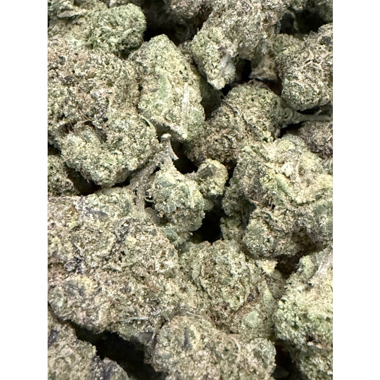 Photograph of product: London Fog - Indoor Flower - Excolo - Harvested: 5/12/25 - 1g