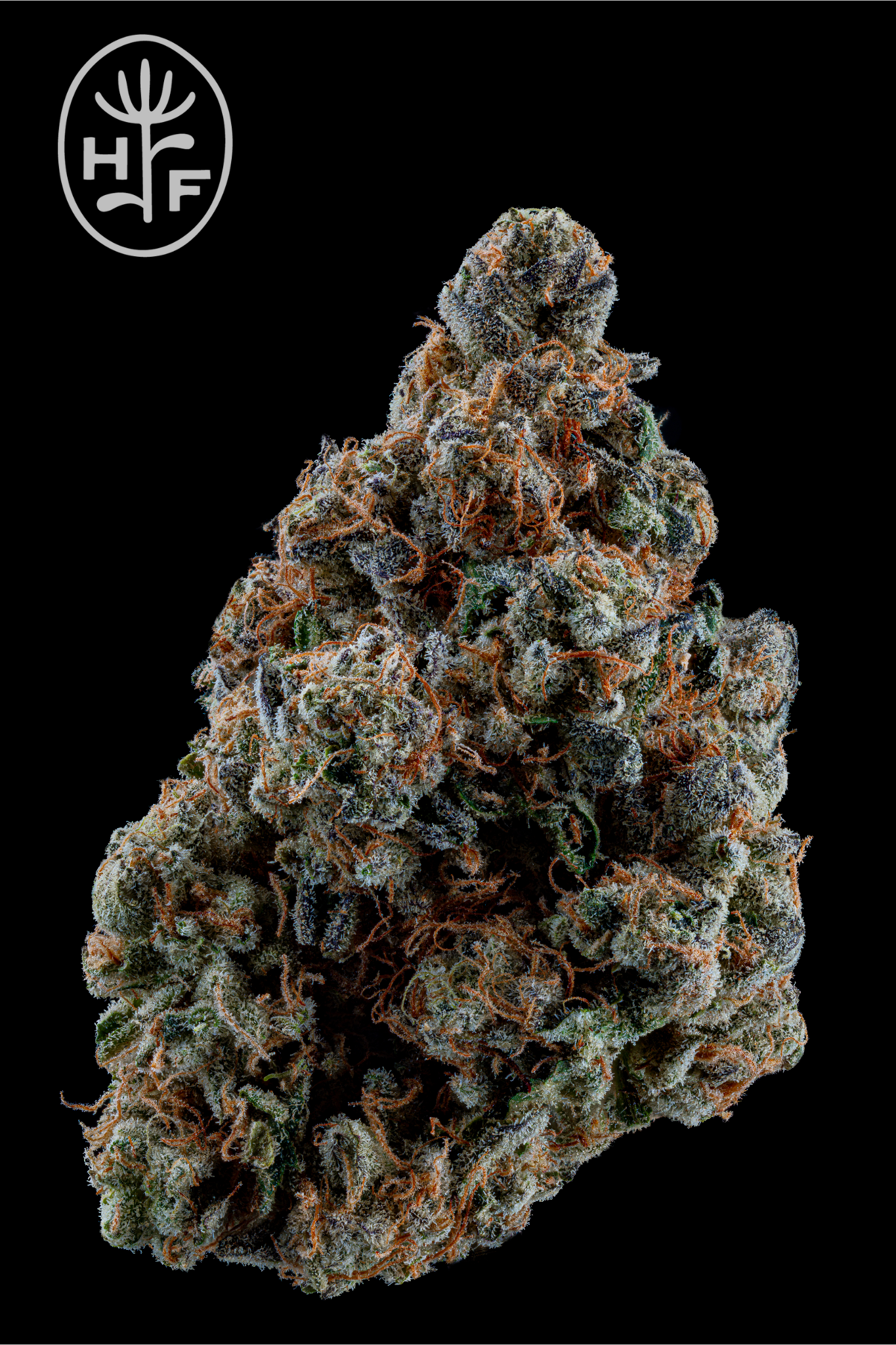 Photograph of product: Hamilton Farms Premium Rolls | Yodanana | 1g (Oui'd)