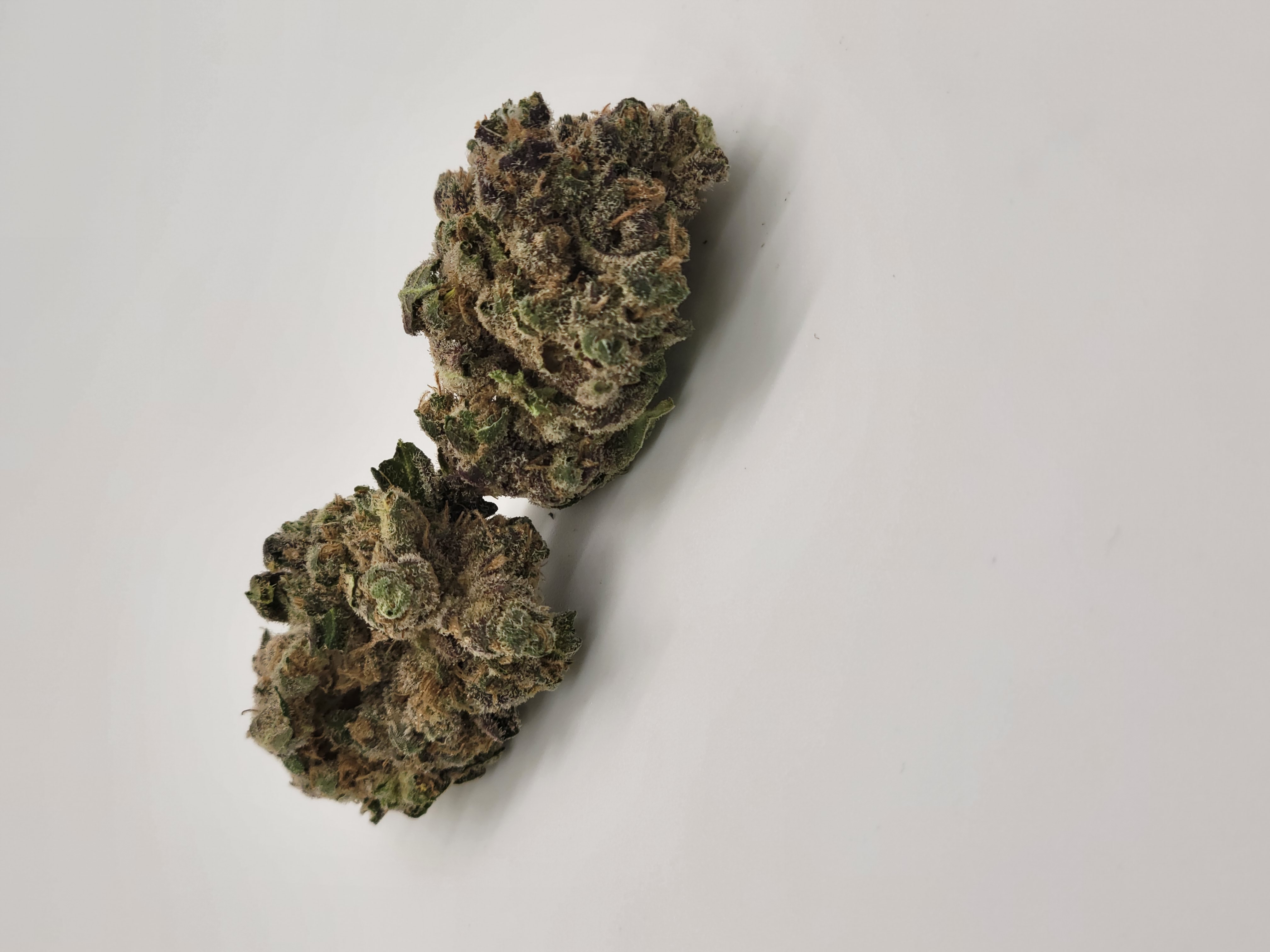 Photograph of product: 30% OFF GUSH MINTZ EIGHTH