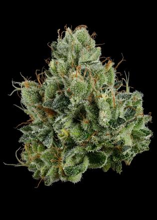 Photograph of product: Brown Bag - Permanent Marker - Smalls - 3.5g