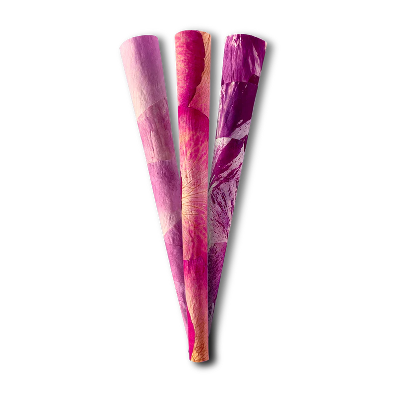 Photograph of product: Petals | Rose Cones | 3pk