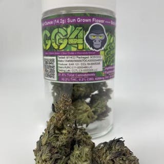 Photograph of product: GG4 | 14g Outdoor - 
