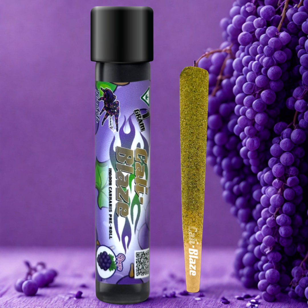Photograph of product: Grape | Infused | Tarantula | 1g