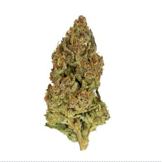 Photograph of product: Platinum Kush | 14g Flower